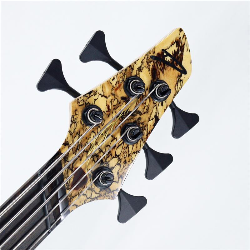 DINGWALL Prima Artist 5strings Spalted Tamarind Top |  | 03