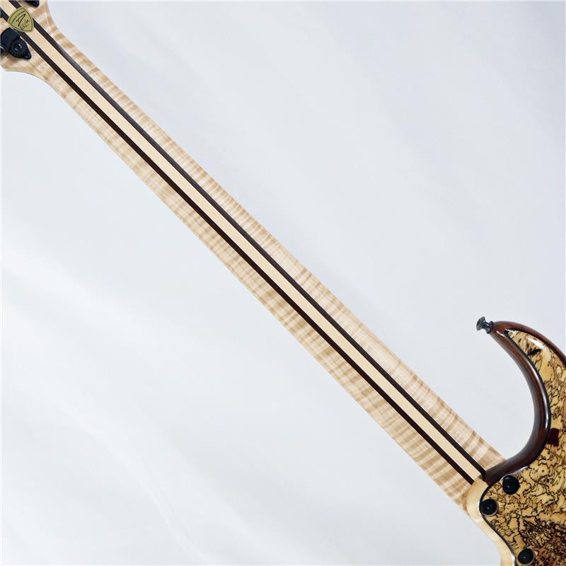 DINGWALL Prima Artist 5strings Spalted Tamarind Top |  | 07