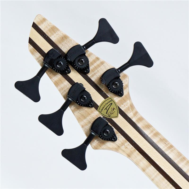 DINGWALL Prima Artist 5strings Spalted Tamarind Top |  | 08