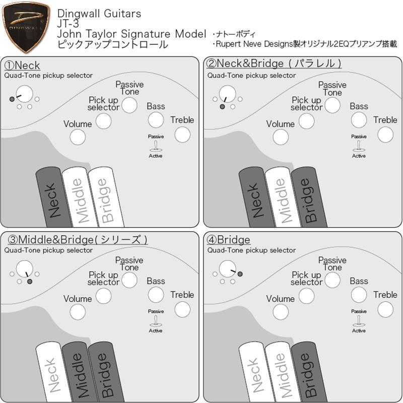 DINGWALL JT-3 5st John Taylor Signature Model (Seafoam Green/PF) |  | 10