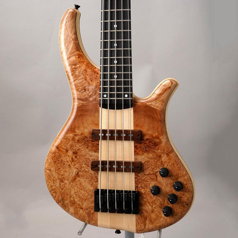 Phoenix PH9-5 Burl Maple 【先取り大特価セール】 | 