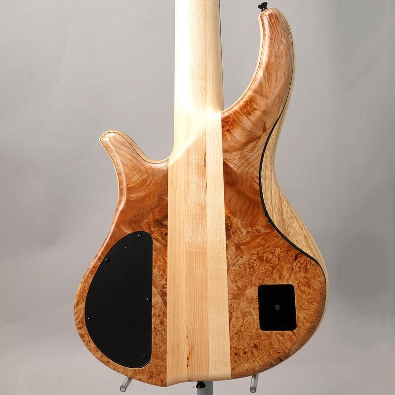 Phoenix PH9-5 Burl Maple 【先取り大特価セール】 |  | 02