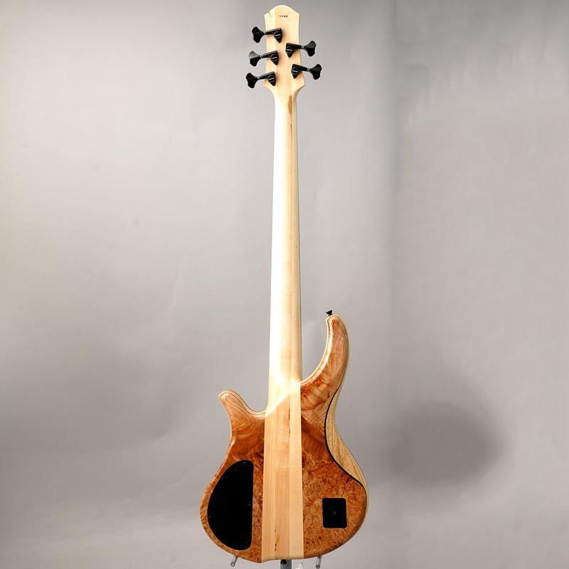 Phoenix PH9-5 Burl Maple 【先取り大特価セール】 |  | 03