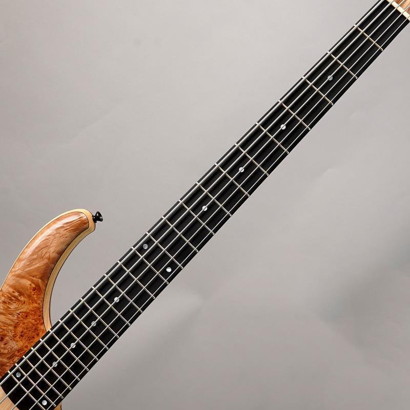 Phoenix PH9-5 Burl Maple 【先取り大特価セール】 |  | 04