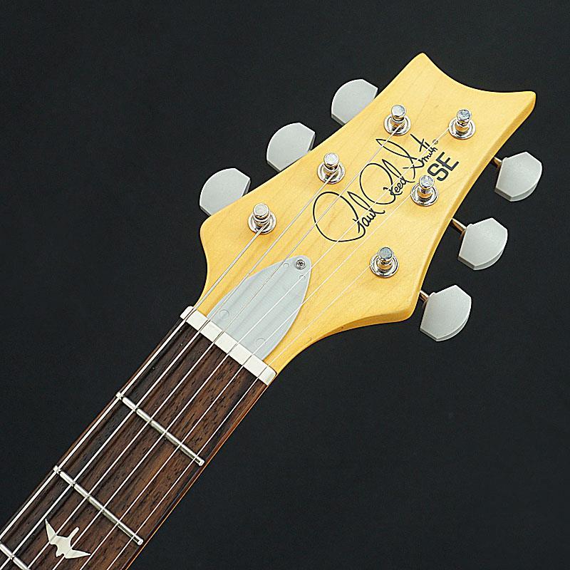 P.R.S. USED 中古 SE Silver Sky (Dragon Frut) ［SN.CTIE11327］Paul