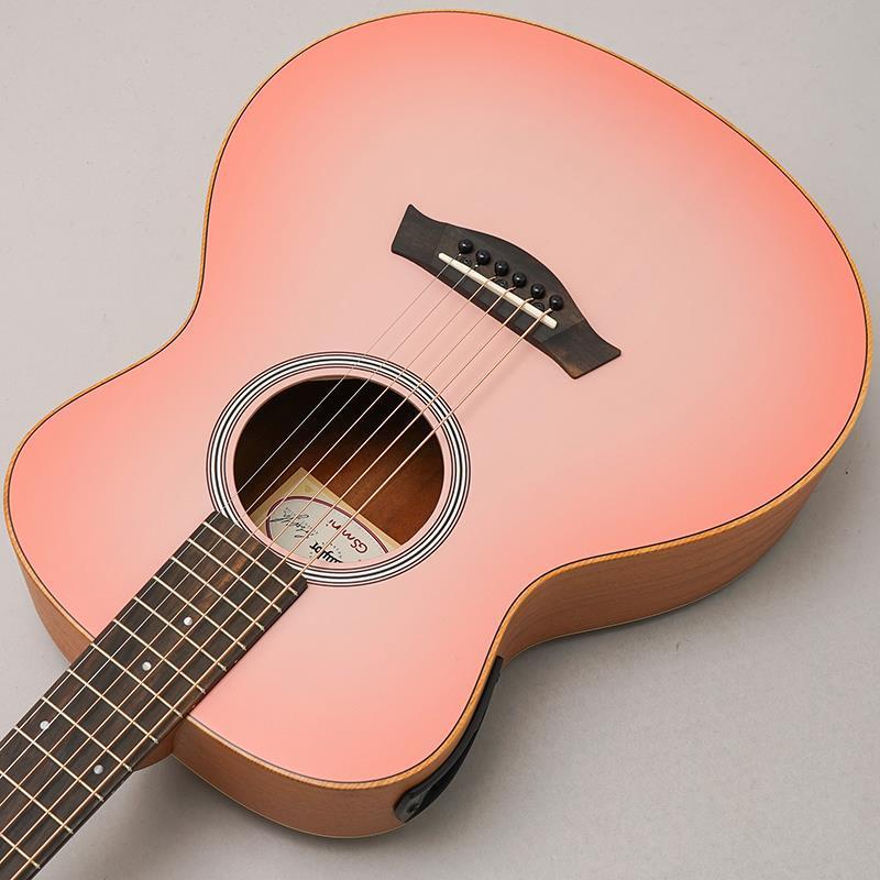 Taylor 【大決算セール】 【チョイ傷特価】GS Mini-e Special Edition