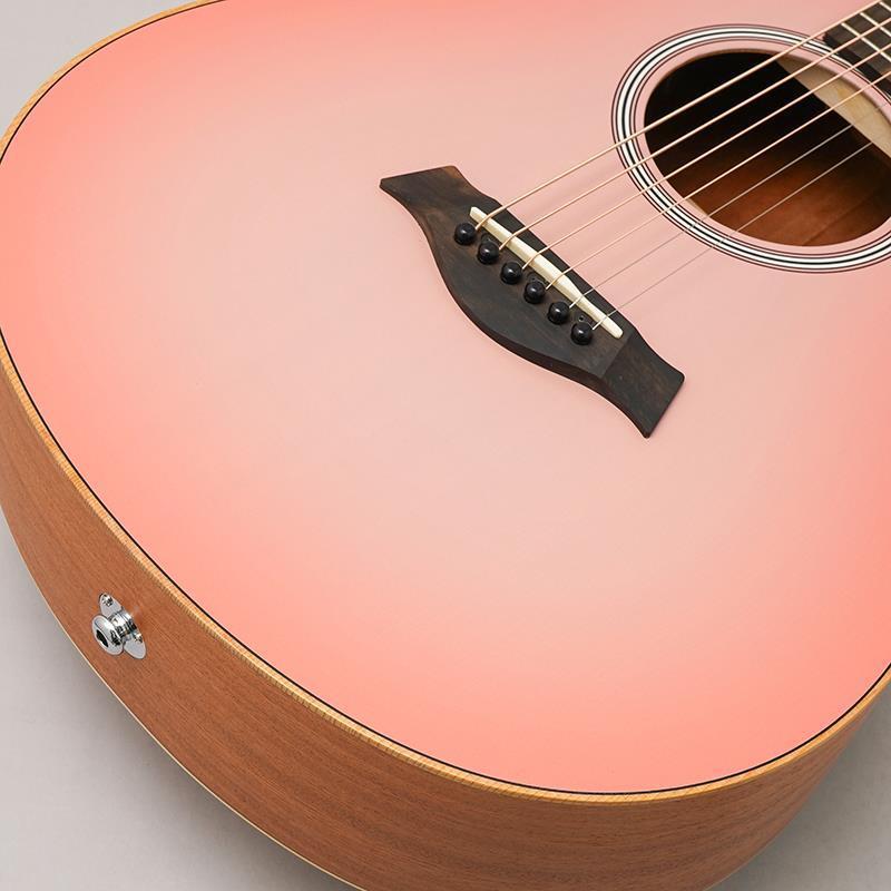 Taylor 【大決算セール】 【チョイ傷特価】GS Mini-e Special Edition