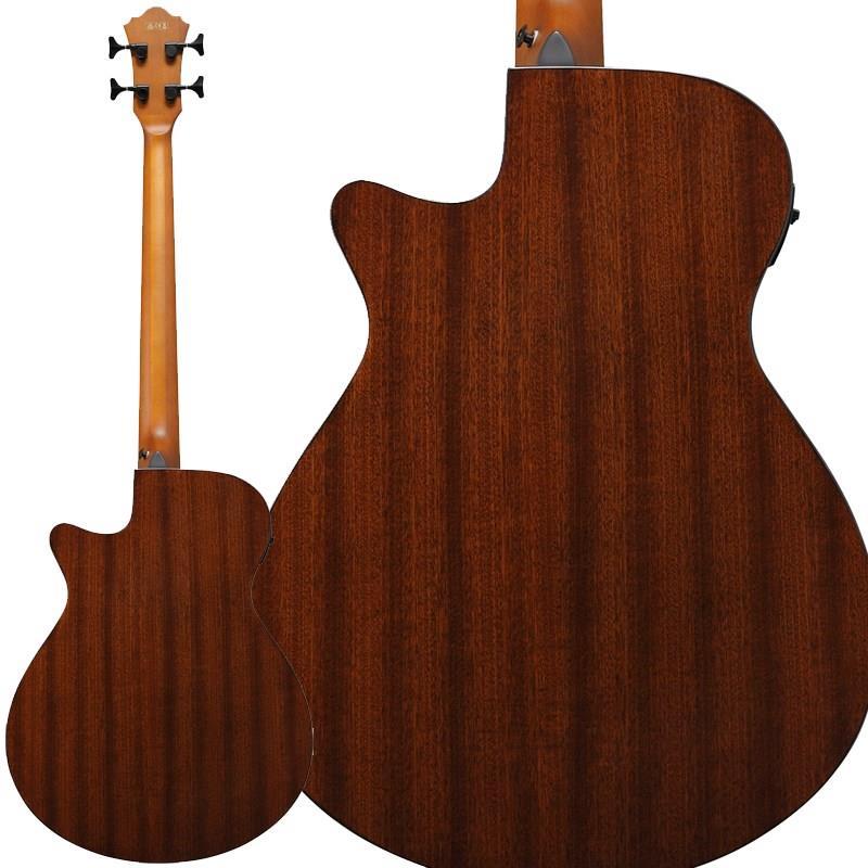 Ibanez AEGB24E-MHS 【特価】 | Ibanez | 01