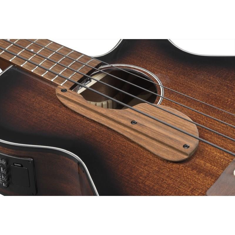 Ibanez AEGB24E-MHS 【特価】 | Ibanez | 02