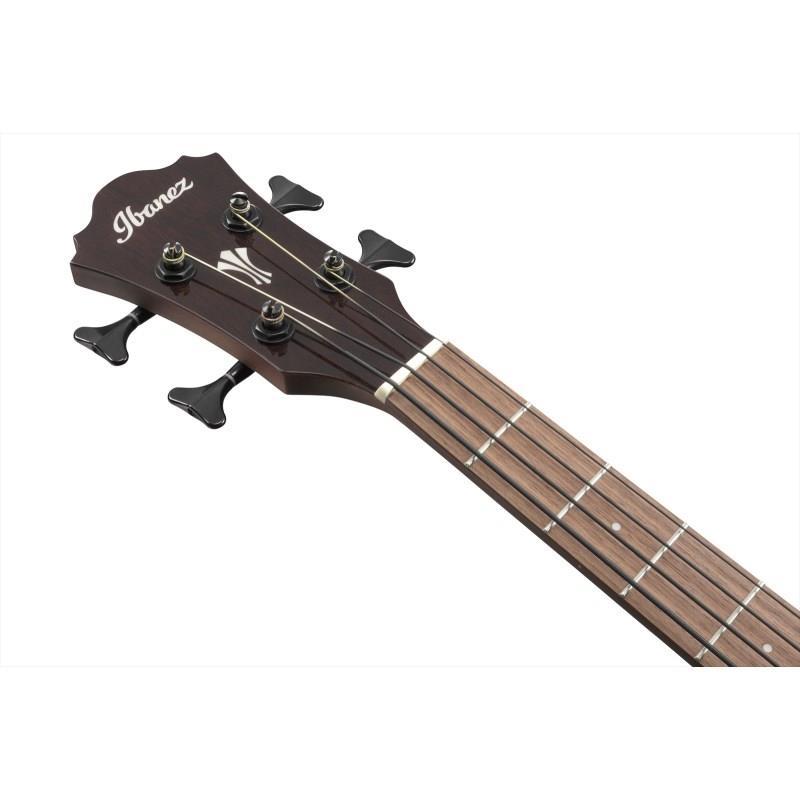 Ibanez AEGB24E-MHS 【特価】 | Ibanez | 05