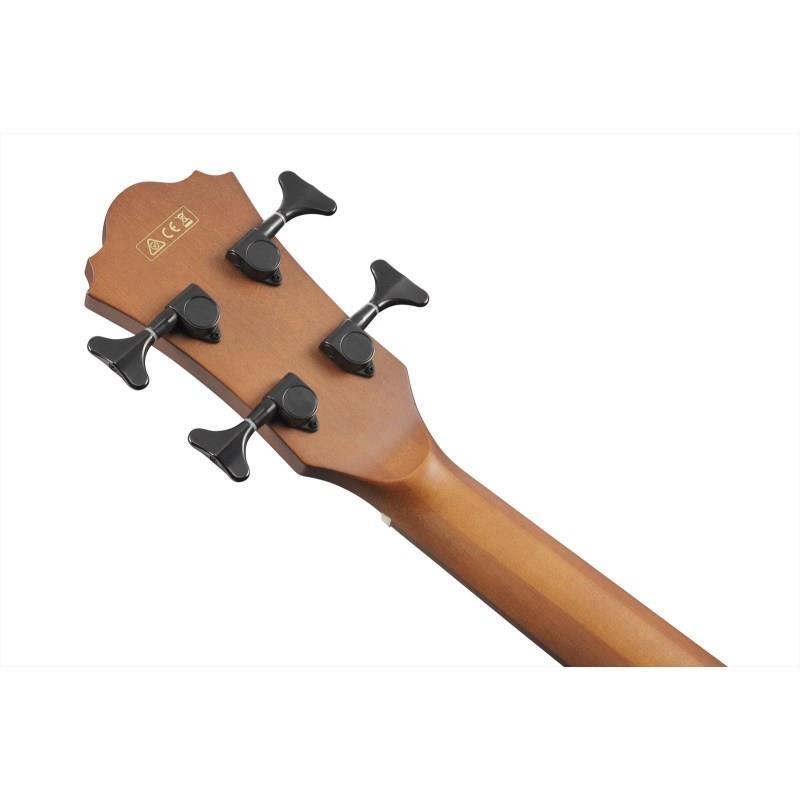 Ibanez AEGB24E-MHS 【特価】 | Ibanez | 06