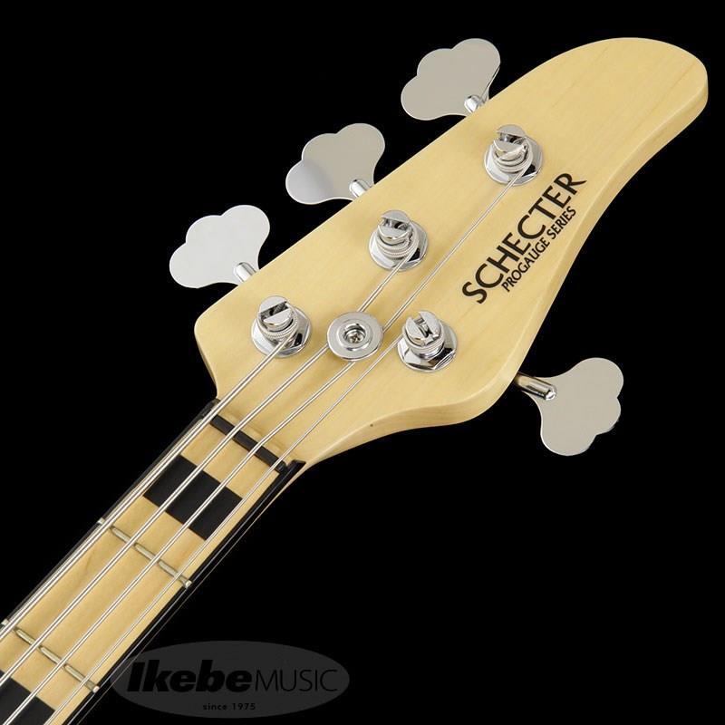 SCHECTER Progauge Artist Model Series PA-TM | SCHECTER | 08