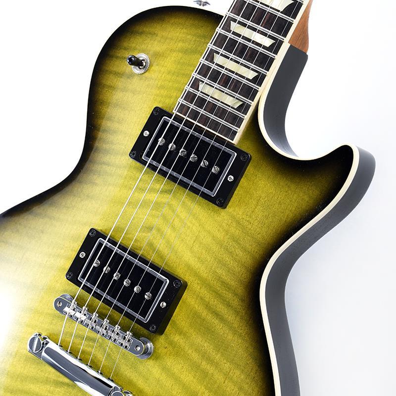 Gibson Demo Mod Collection 1959 Les Paul Standard MOD (Cascading Fern) SN.DS0186_3