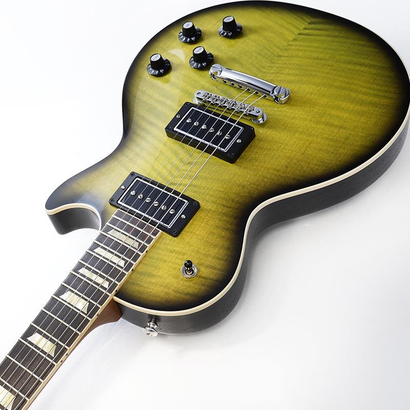 Gibson Demo Mod Collection 1959 Les Paul Standard MOD (Cascading Fern) SN.DS0186_5
