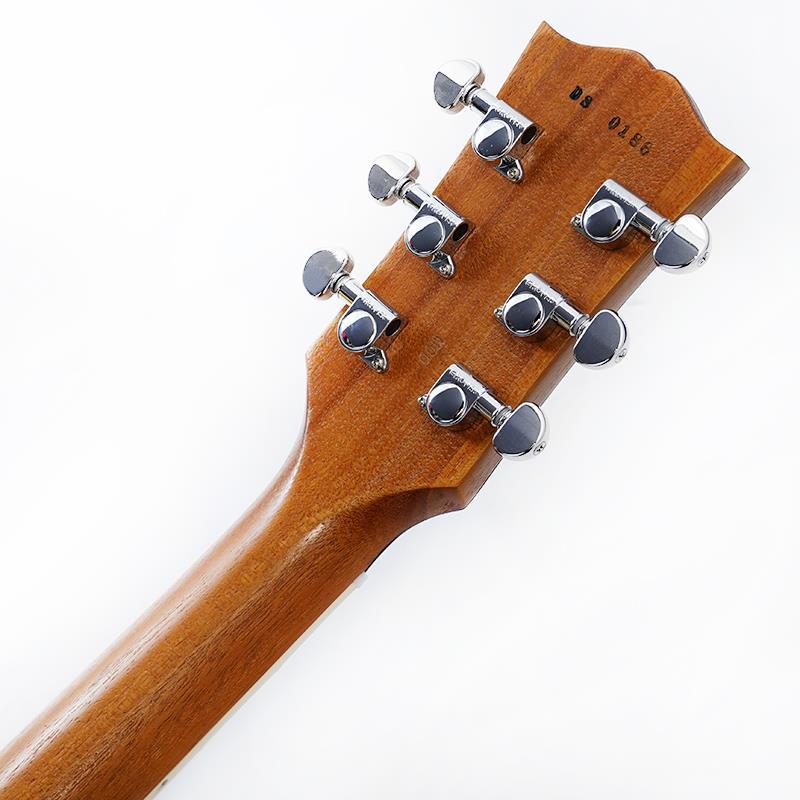 Gibson Demo Mod Collection 1959 Les Paul Standard MOD (Cascading Fern) SN.DS0186_9