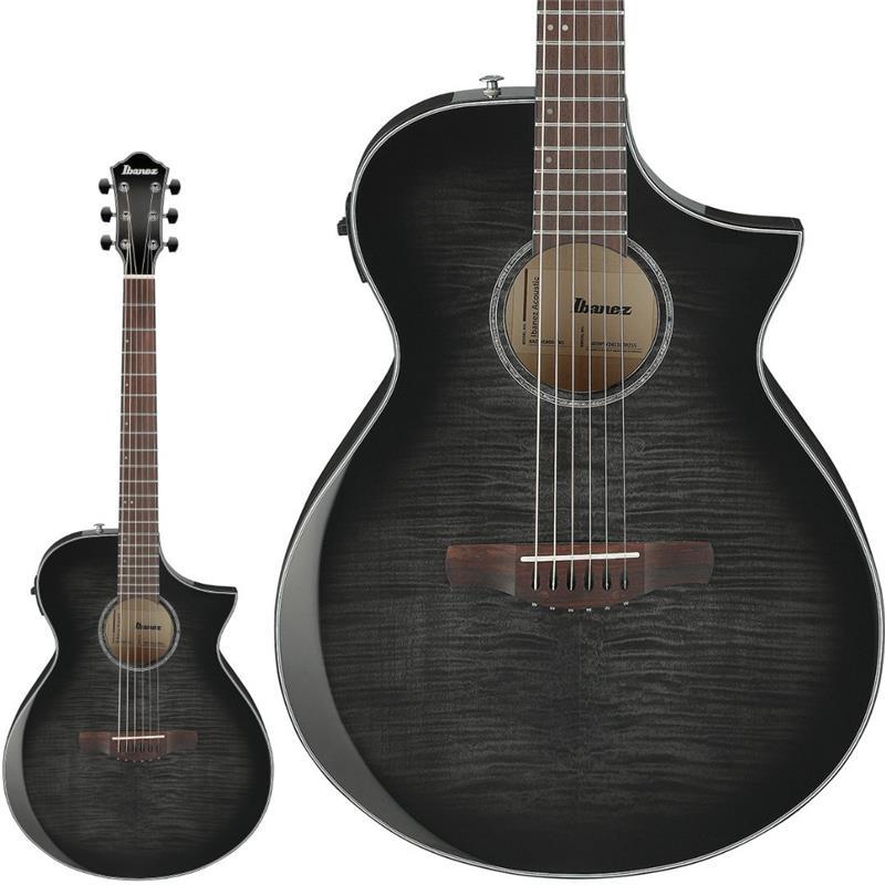 Ibanez 【新楽器応援セール】【本数限定特価】AEWC400-TKS アイバニーズ