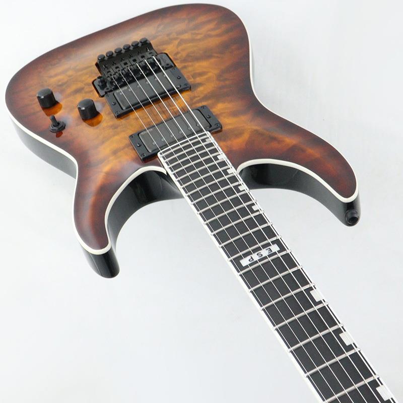 E-II HORIZON FR-II (Tiger Eye Sunburst) [SN.ES2770253] |  | 04