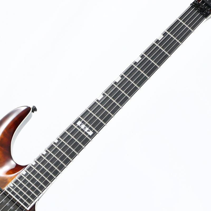 E-II HORIZON FR-II (Tiger Eye Sunburst) [SN.ES2770253] |  | 05