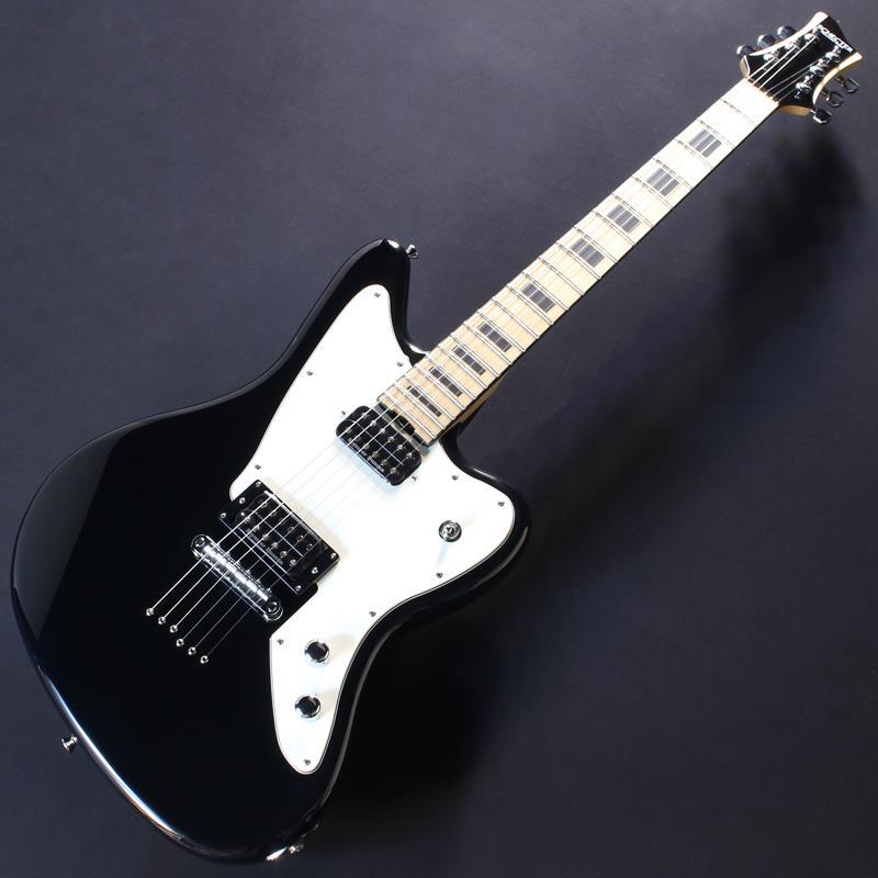 SCHECTER PA-SW/KA 【Progauge Artist Model SHADOWS KAZUKI】の画像