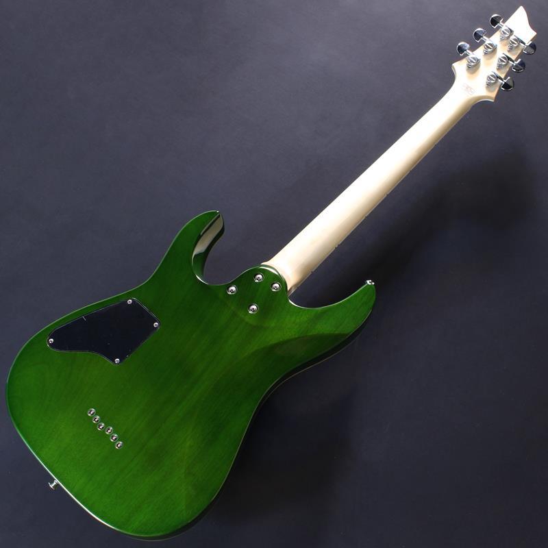 SCHECTER SCHECTER PA-SW/TH #S2509225【Proguage Artist Model