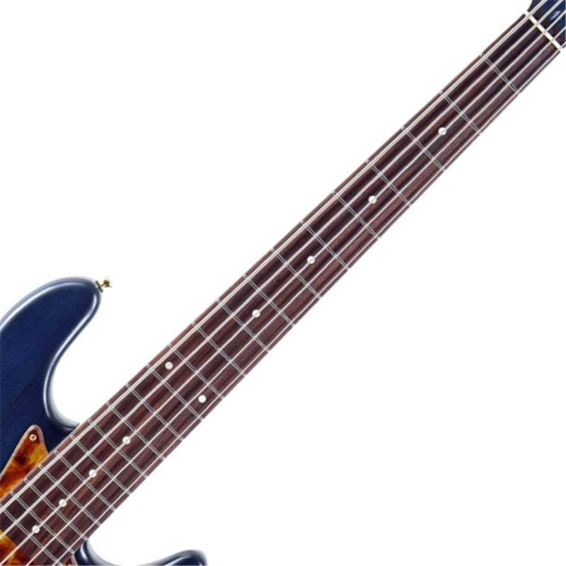 Freedom Custom Guitar Research O.S. Anthra 5st Active Ash/Rosewood