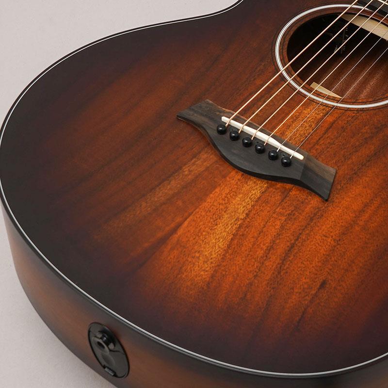 TAYLOR 【特価】 GS Mini-e Koa Plus テイラー | Taylor | 06