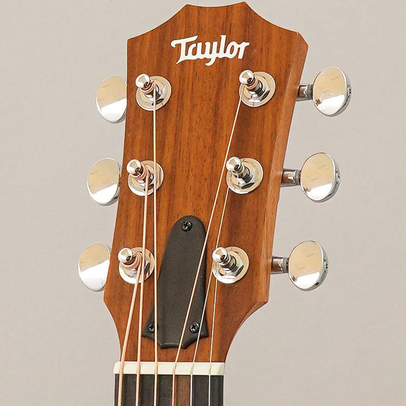 TAYLOR 【特価】 GS Mini Sapele テイラー | Taylor | 09