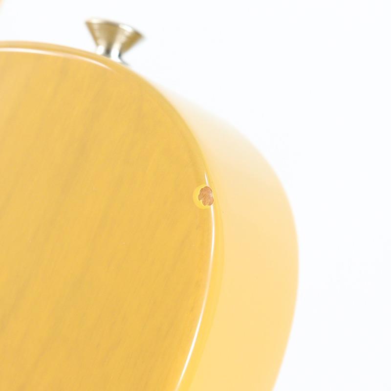 Fender USA American Professional Classic Telecaster (Butterscotch Blonde/Maple) 【キズあり特価】 | Fender | 10