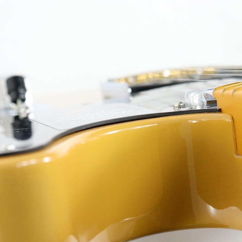 Fender USA American Professional Classic Telecaster (Butterscotch Blonde/Maple) 【キズあり特価】 | Fender | 09