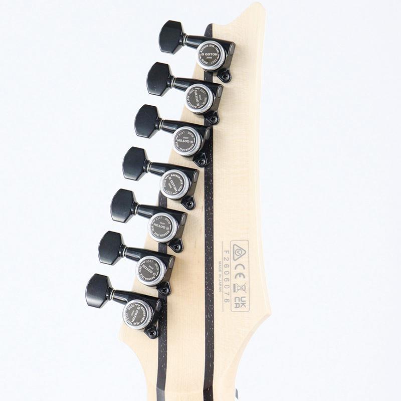Ibanez（アイバニーズ） Ibanez Prestige RGR762AHBF-WK (Weathered