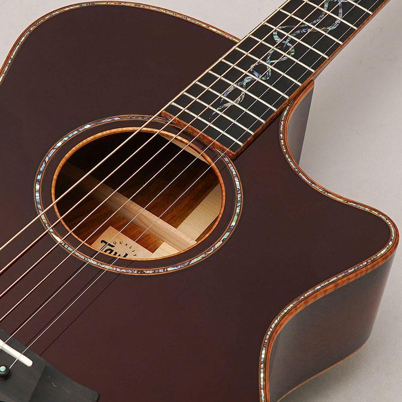 Taylor TAYLOR Custom GA Andy Powers Select Cocobolo/Port Orford