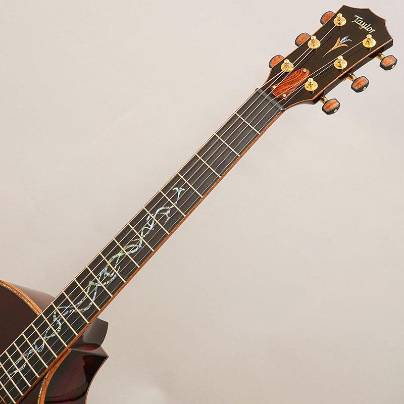 Taylor TAYLOR Custom GA Andy Powers Select Cocobolo/Port Orford