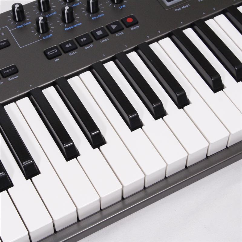 Nektar Technology USED 中古 Impact LX49+ (ネクター)(MIDIキーボード)(49鍵) |  | 01