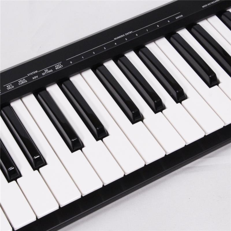Roland USED 中古 A-49 (ローランド)(A49)(MIDIキーボード)(49鍵) | ローランド | 01