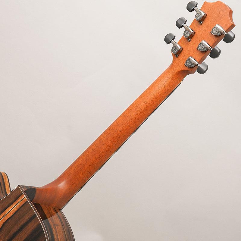 Furch Rainbow Gc-LEa -Alpine Spruce / Exotic Ebony フォルヒ