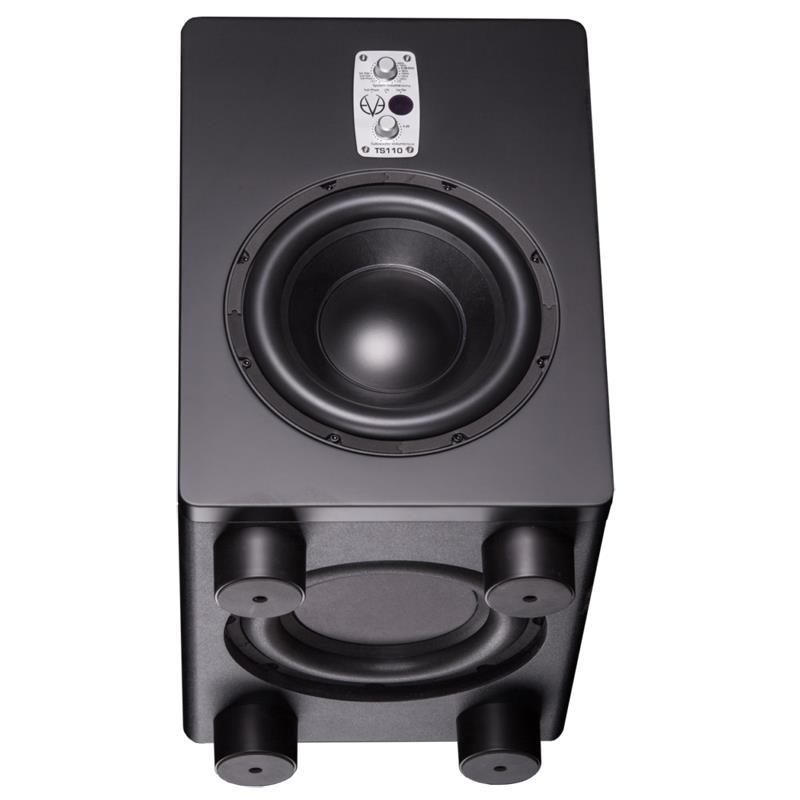 EVE Audio TS110 (受注製品)(アクティブサブウーファー)(10インチ)(パッシブラジエーター)の画像