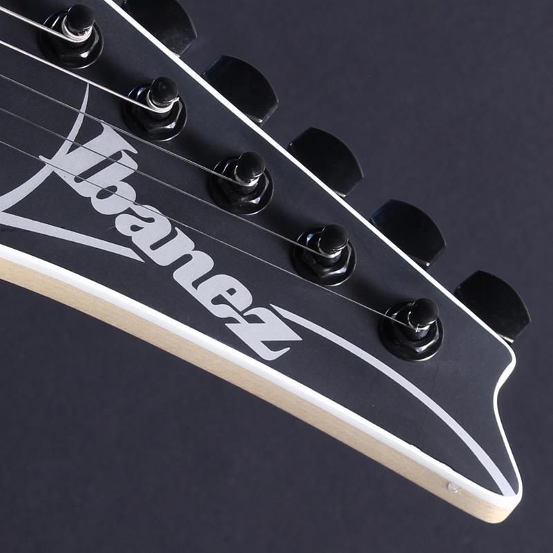Ibanez RG421EX-BKF (Black Flat) #I250804912【特価】の画像