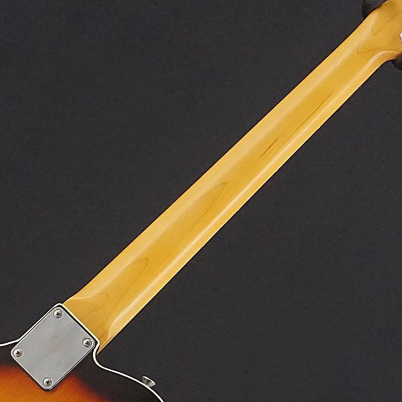 VanZandt USED 中古 TLV-R2 (3Tone Sunburst) [SN.8848] ヴァンザント