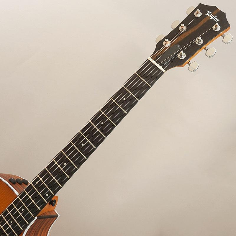 Taylor TAYLOR 214ce Rosewood Special Edition Honeyburst テイラー