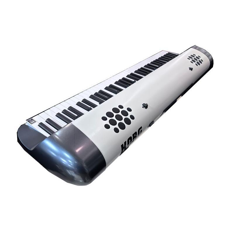 KORG 【夏のボーナスセール】SV2-88S (88鍵盤) （展示入替特価品！) SV-2S STAGE VINTAGE PIANO※配送事項要ご確認_1