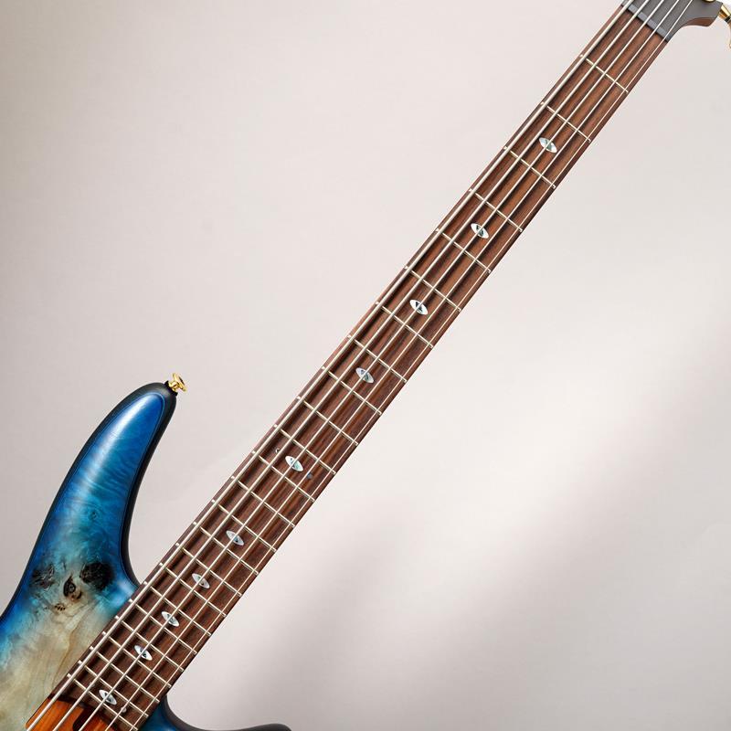 Ibanez SR6605-GFB 【特価】 | Ibanez | 04