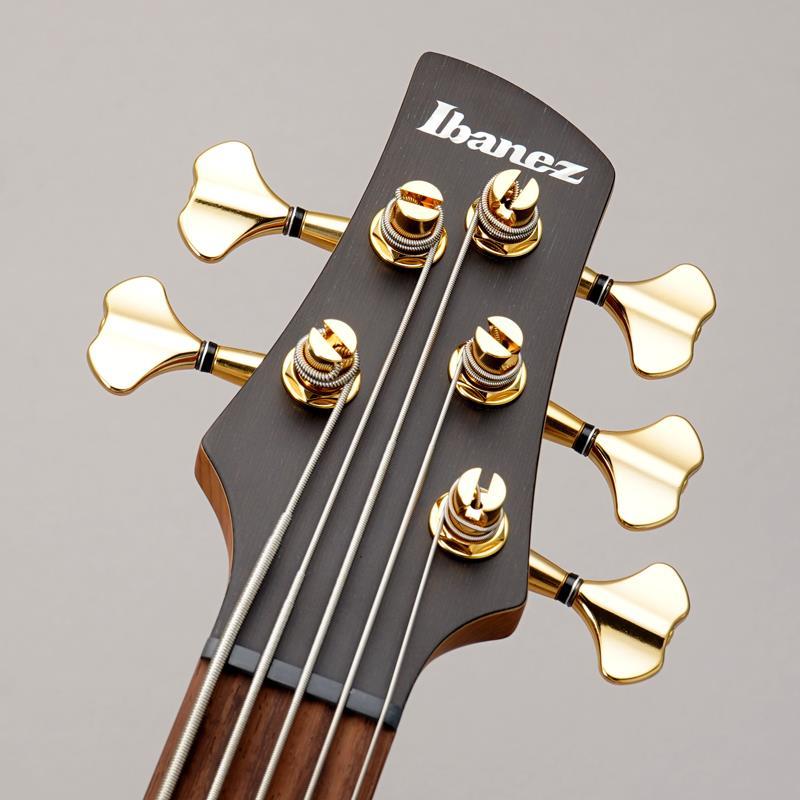 Ibanez SR6605-GFB 【特価】 | Ibanez | 06