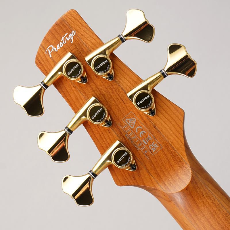 Ibanez SR6605-GFB 【特価】 | Ibanez | 07