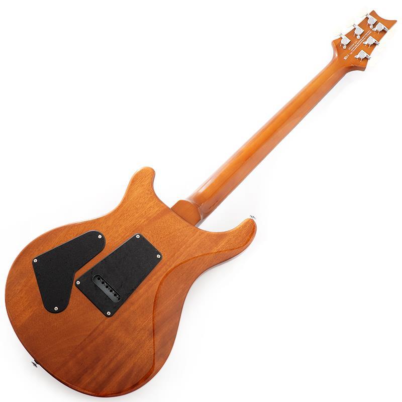 P.R.S. Ikebe Exclusive SE Custom 24 Spalted Veneer (Natural)　SN.CTIH052307 【2025年生産品】 |  | 02