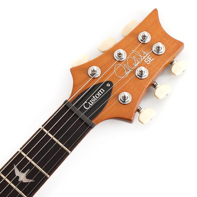 P.R.S. Ikebe Exclusive SE Custom 24 Spalted Veneer (Natural)　SN.CTIH052307 【2025年生産品】 |  | 06