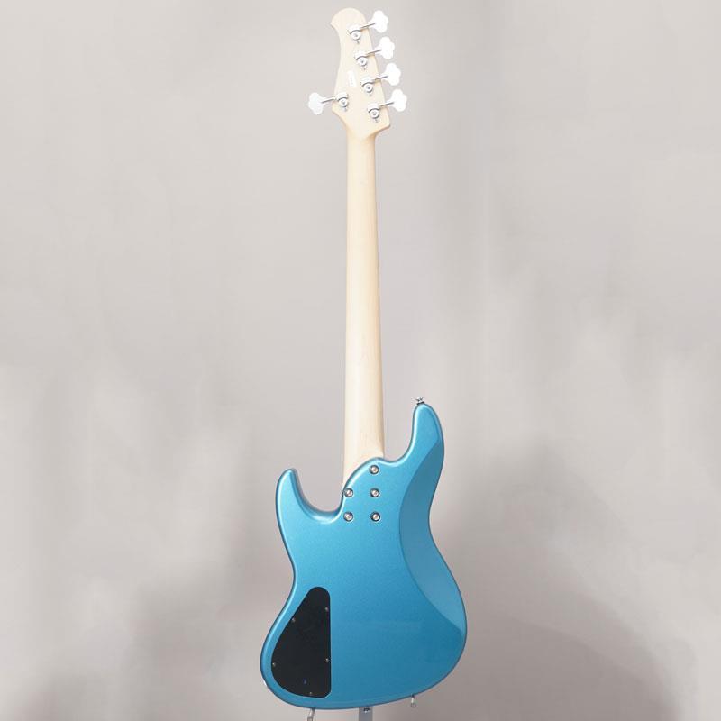 Xotic XJ-1T 24F 5st (LPB/Alder/R) |  | 03