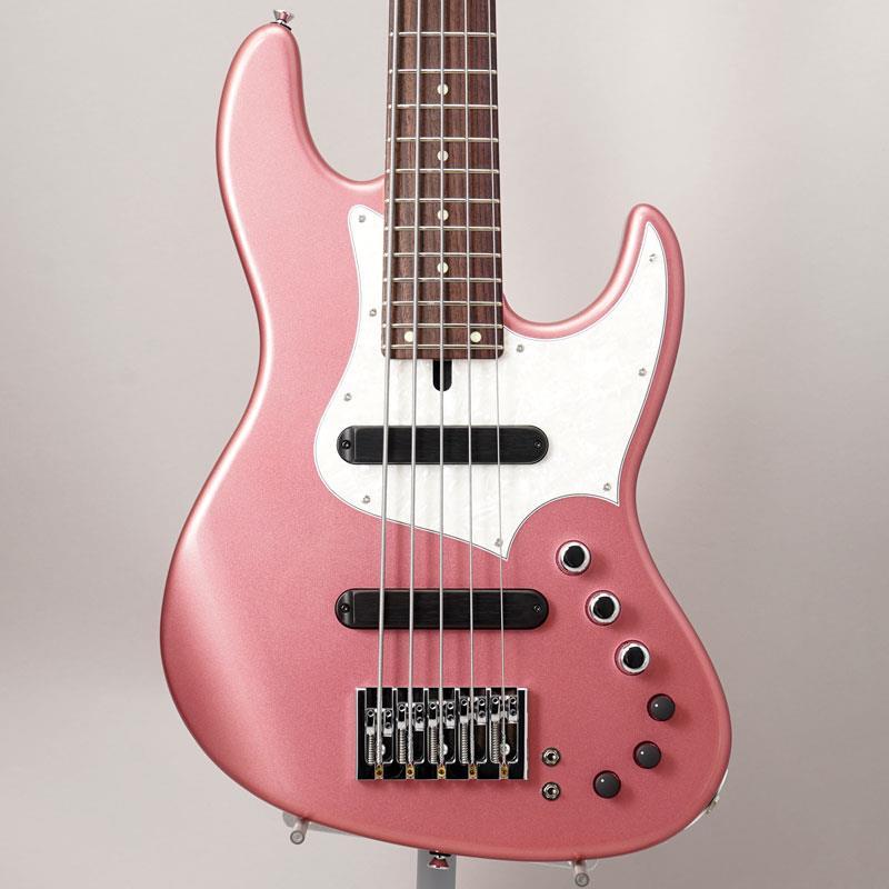 Xotic XJ-1T 24F 5st (BGM/Alder/R) | 