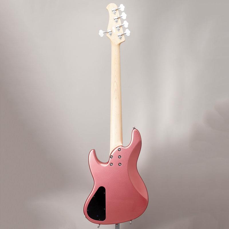 Xotic XJ-1T 24F 5st (BGM/Alder/R) |  | 03