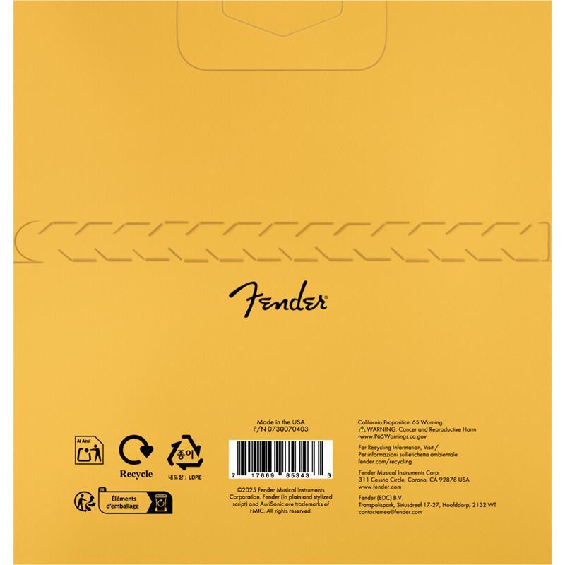 Fender USA AuriSonic 70 80/20 Bronze Acoustic Guitar Strings[#0730070403] | Fender | 01