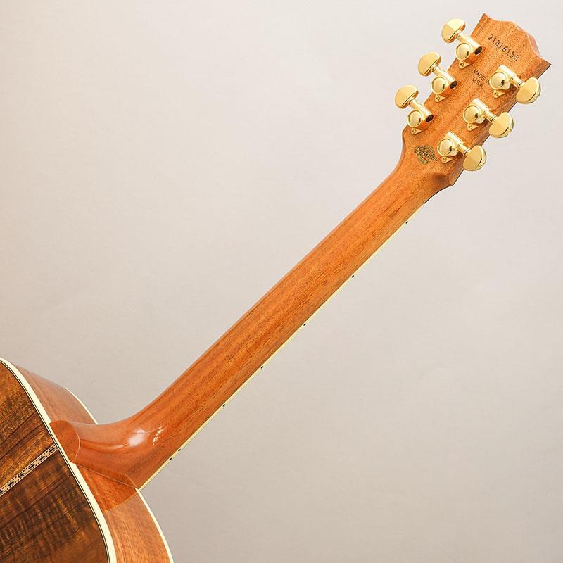 Gibson（ギブソン） Gibson Hummingbird Elegant Koa （Honey Burst